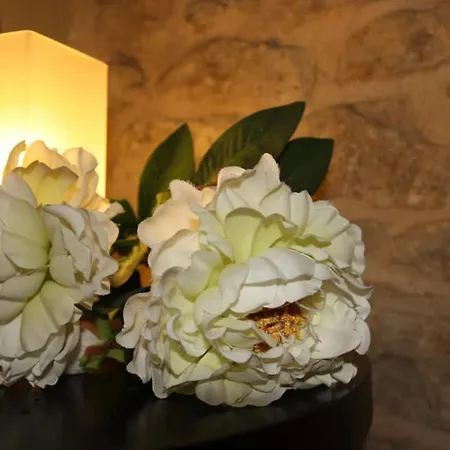 Gildo ベッド・アンド・ブレックファスト トラーニ